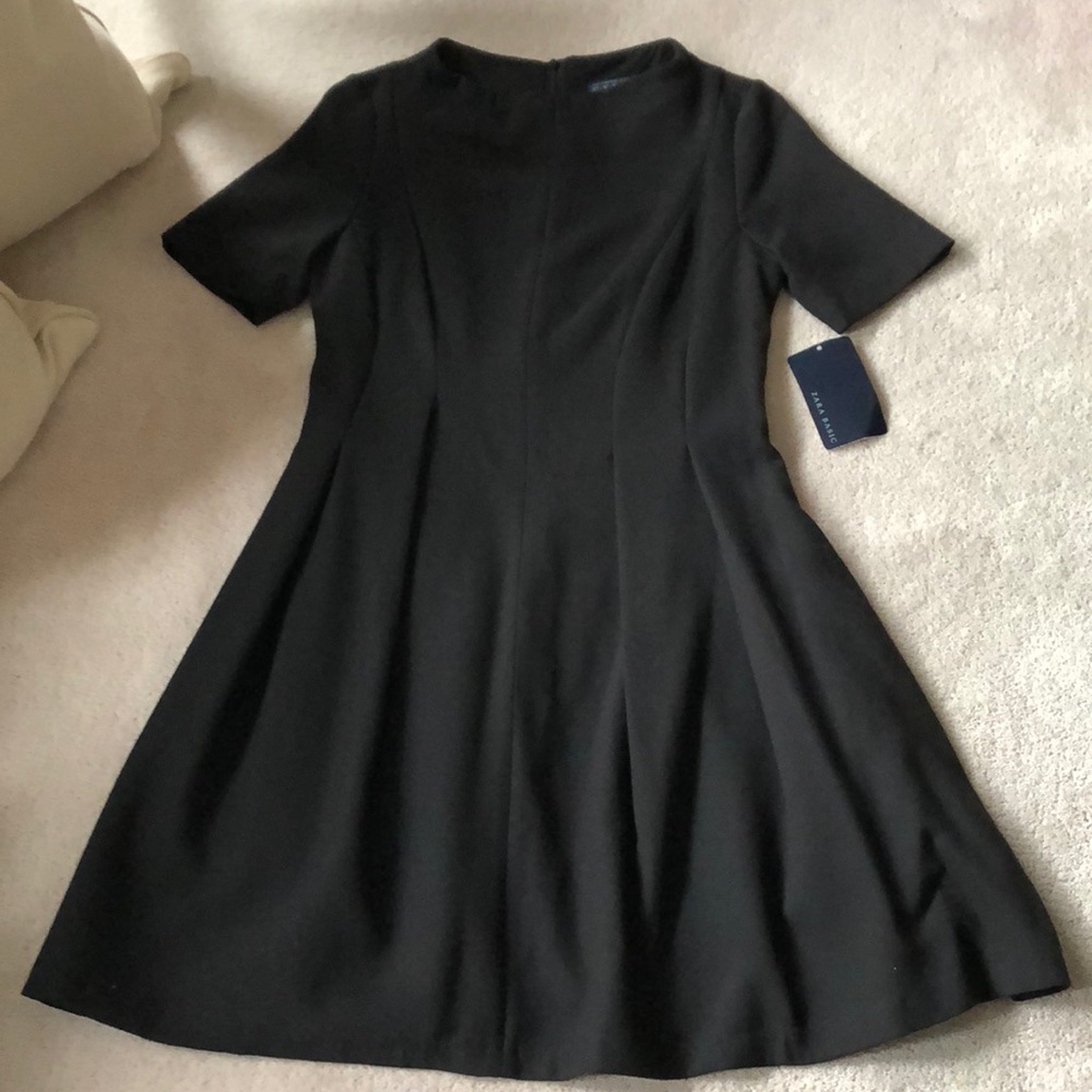 Zara pleated dress!